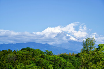 The view of Fuji mountain and cloud in the morning.