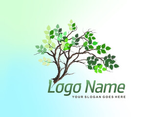 Obraz premium tree logo design template
