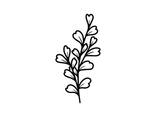 Obraz premium Hand drawn sketch of flowers, line art illustration.