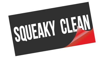 SQUEAKY  CLEAN text on black red sticker stamp.