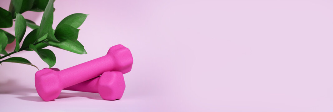 Pink dumbbells are isolated on a pink background with hard shadows and leaves. The concept of fitness, home workouts, activity and sports, healthy lifestyle. Women Health. Banner. Copy space