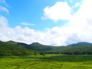 Obraz premium 神仙沼湿原（北海道岩内郡共和町）