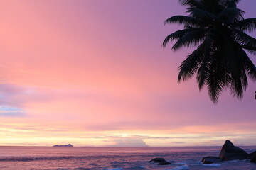 Fototapeta na wymiar Pink sky with silhouette of palm trees and purple sea with boulder on the shore.Beautiful tropical sunset with island on the horizon.Background image of colorful nature at dusk