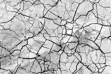 Fototapeta premium Stone crackle effect paper background. Gray monochrome texture.