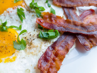 bacon