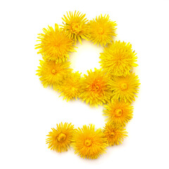 Number 9 of yellow dandelions flowers
