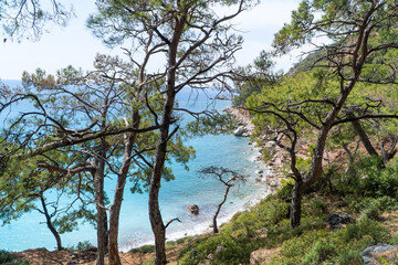 Fototapeta na wymiar Turquoise blue sea through the trees on the hill