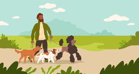Dogsitter. Man walking dogs in park. Male character leads puppies on leashes. Sitter takes care of pets. Person with domestic animals outdoor. Groomers activity. Vector illustration