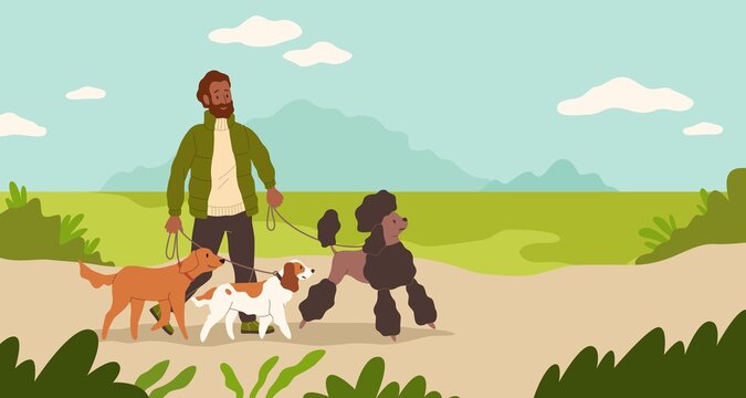 Dogsitter. Man walking dogs in park. Male character leads puppies on leashes. Sitter takes care of pets. Person with domestic animals outdoor. Groomers activity. Vector illustration