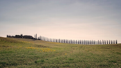 Landscape in Val D'Orcia, Tuscany, Italy