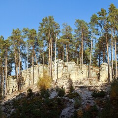 Toulovcovy mastale Sandstone rock city Czech Republic