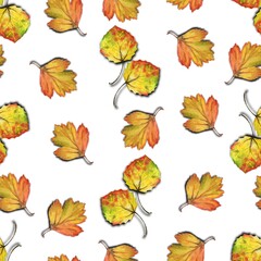 Autumn illustration, seamless pattern with yellow and orange leaves, painted in watercolor