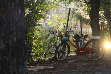 Fototapeta na wymiar bicycles in the park