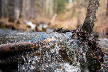 stream in mountains bubbling brook moss and trees