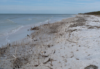 Death from the Rising Sea Level Due to Climate Change