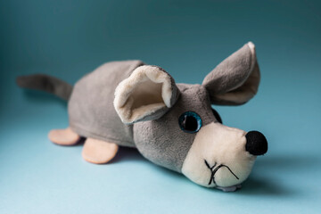 Fototapeta na wymiar Plush toy gray dog on a blue background. Indoors, day light Front view.