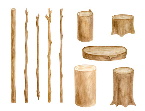 Watercolor wood sticks and stumps set. Hand drawn tree branches, wooden slice isolated on white. Bare twigs decoration, rustic natural eco style design.