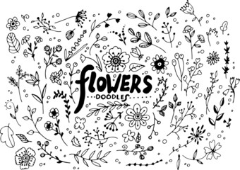 Vector hand painted flowers illustration set