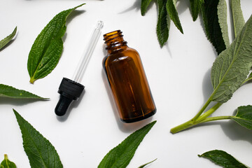 A cosmetic or medical bottle with a pipette on a white background among natural green leaves. Top view, place for text.