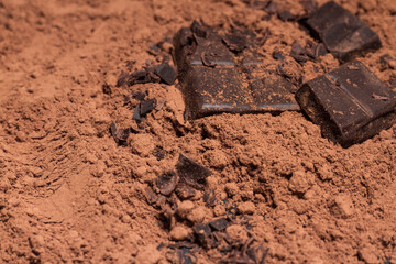 Broken slices of chocolate and cocoa powder close up