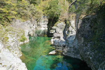 Fototapeta na wymiar 愛媛県久万高原町　面河川の風景