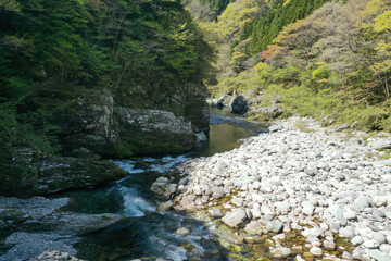 愛媛県久万高原町　面河川の風景