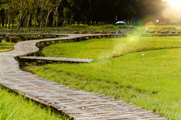 Curve Bamboo Bridge. Curved wooden bridge at park in paddy field