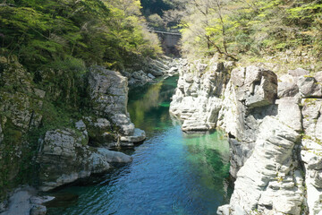 Fototapeta na wymiar 愛媛県久万高原町　面河川の風景