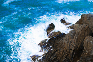 Viste e dettagli delle bellissime Cinque Terre e dell'ambiente naturale che le circonda