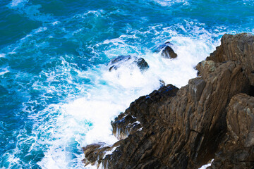 Viste e dettagli delle bellissime Cinque Terre e dell'ambiente naturale che le circonda