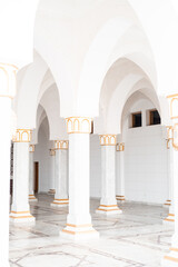Fototapeta premium Classic architecture elements. Building with many column and arch