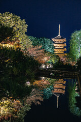 東寺　夜のライトアップ