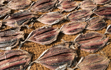 Close up of dry fish
