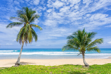 Fototapeta na wymiar Sea sand beach background Summer beach with sunny sky and coconut tree Phuket island, Thailand Beautiful scene of blue sky and cloud on sunny day Empty holiday sea where the horizon can see clearly