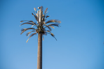Communication antenna on fake palm tree