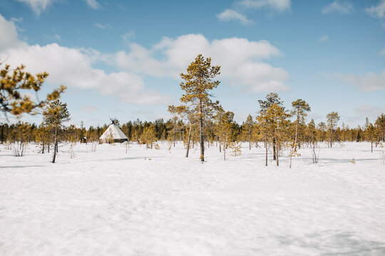 Cottage amidst trees on snow during winter