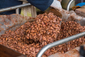 Fermented and fresh cocoa-beans lying in the wooden box