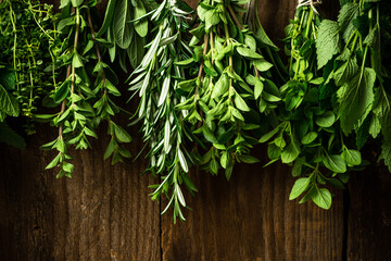 Collection of Various Fresh Herbs Hanging in Bunches for Drying
