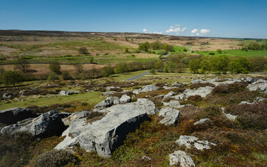 Fototapeta na wymiar The North York Moors with fields, trees, and large boulders in spring. Goathland, UK.