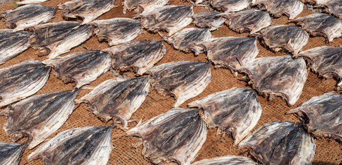 Close up of dry fish