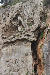 Rovine dell'antica città di cosa presso Ansedonia