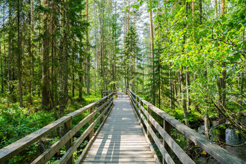 View of the wooden walkway to The Neitikoski Rapids, part of Ruunaa Rapids, Lieksa, Finland