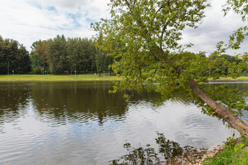 Panoramic view of embankment in Lyublino Park