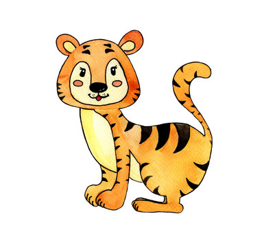 Watercolor illustration, orange tiger isolated on white background, wild animals, Chinese New Year zodiac sign symbol