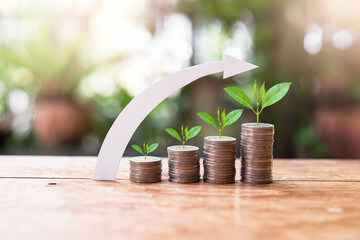 plant money coins saving set increase for concept investment mutual fund finance and business
