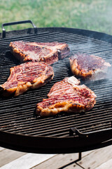 Selection of dry aged steak that includes t bone, rib eye and rump steak on a barbecue