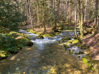 Torrent tributaries with karst springs in the area of the source of the river Orba and in its...