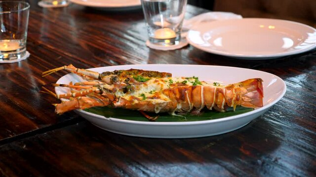 Grilled Lobster Meal with Herbs and Baked Cheese on Dinner Plate. Luxurious Restaurant with Fresh Seafood Menu. Eating Freshness Grilled Lobster Stuffed with Cream and Cheese. Gourmet Food. 4k