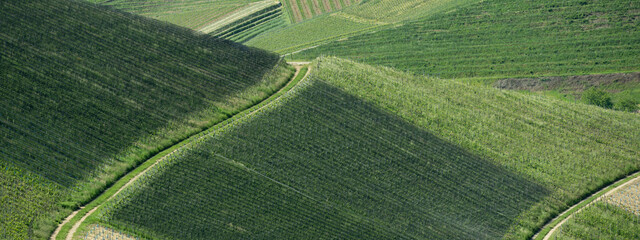Beautiful landscape background, panorama of vineyards grapevines grapes fields in the Black Forest Durbach Offenburg Ortenaukreis