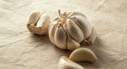 Fresh garlic on the table